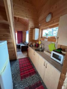 a kitchen with a sink and a microwave at A house with a sauna at Arturs in Rõmeda