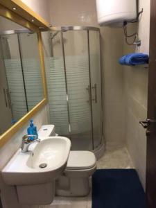 アンマンにあるThe Royal Luxury Tiger Patioのバスルーム(シャワー、洗面台、トイレ付)