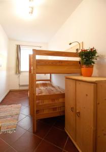 a bunk bed in a room with a plant on a counter at Abendsonne in Mirow