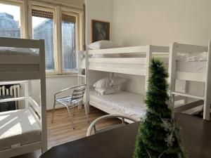 ベオグラードにある市中心，超高速WIFI，免费洗衣机烘干机，8人合住房间床位のギャラリーの写真
