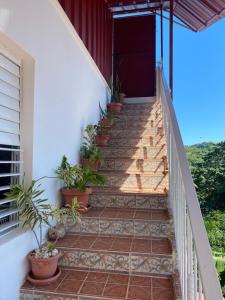 a staircase with potted plants on the side of a house at Tinyhouse samaná 