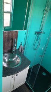 ein Bad mit einem Waschbecken und einer Glasdusche in der Unterkunft dutchduochalet13 in s-Gravenzande