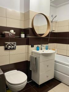 La salle de bains est pourvue de toilettes, d'un lavabo et d'un miroir. dans l'établissement Aparthotel City Center Targu Ocna, à Tîrgu Ocna