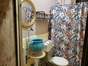 a bathroom with a toilet and a shower curtain at The Tea House in San Juan