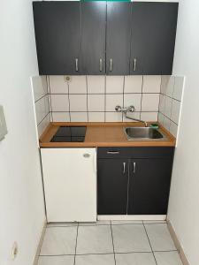 een kleine keuken met zwarte kasten en een wastafel bij Apartments Leut in Pisak