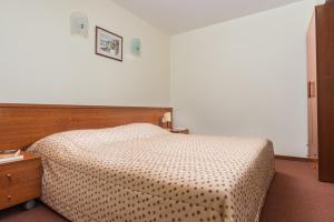 Postel nebo postele na pokoji v ubytování Hotel Pirin