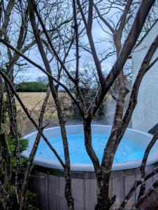 une baignoire jacuzzi dans une cour avec un arbre dans l'établissement Riverside Cottage at Logwood Mill, à Ballyclare
