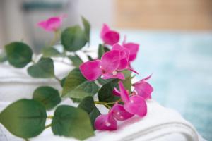 a group of pink flowers sitting on a table at Talè Talè Apartment in Marina di Ragusa