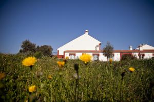 a field of flowers in front of a house at Naturarte Rio - Duna Parque Resorts & Hotels in Vila Nova de Milfontes