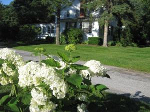 A garden outside Historic White Blossom House