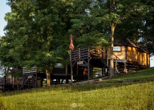 Gornje KomarevoGLAMPING IZLETIŠTE BANOVAC的树林里的木头小屋
