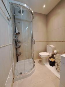 uma casa de banho com um chuveiro e um WC. em Chez Louise: onde a Serra beija o Céu em Lousã