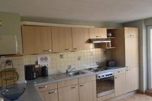 Η κουζίνα ή μικρή κουζίνα στο Ferienhaus Stana