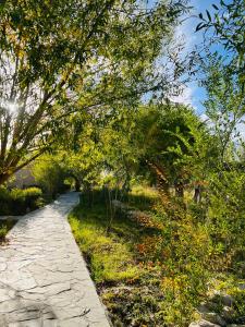 Lchang Nang Retreat-THE HOUSE OF TREES-Nubra Valley外面的花园