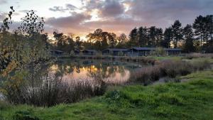 un estanque en un campo con casas en el fondo en Bay Tree Lodge: Lakeside lodge w/hot tub & cinema surround sound en Woodhall Spa