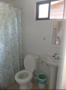 a bathroom with a toilet and a sink and a shower curtain at Hosteria y Cabañas Rucantu in Freire