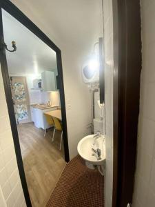 a bathroom with a sink and a toilet in a room at Studio en plein centre historique de perpignan in Perpignan