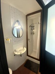 a bathroom with a sink and a shower with a mirror at Studio en plein centre historique de perpignan in Perpignan