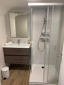 La salle de bains est pourvue d'une douche et d'un lavabo. dans l'établissement La Frégate, à Saint-Malo