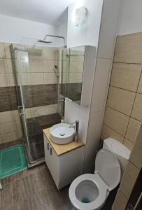 Koupelna v ubytování Apartament - central + 8 fotografií