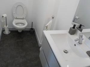 a white bathroom with a toilet and a sink at CHARMANT APPARTEMENT DANS MAISON DE CARACTERE in Saint-Brice-sur-Vienne +14 photos