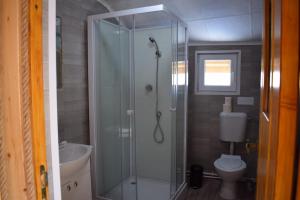 La salle de bains est pourvue d'une douche et de toilettes. dans l'établissement Cabana doi mesteceni, à Drumu Carului