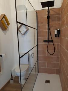 Au Charme de l'Eure في Villiers-le-Morhier: حمام مع دش زجاجي مع مرحاض
