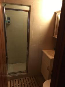 a bathroom with a shower with a toilet and a sink at Calico Jack's Galley cottage in Kitty Hawk +22 photos