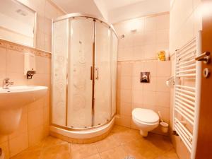 a bathroom with a shower and a toilet and a sink at Rusovský Penzión in Bratislava