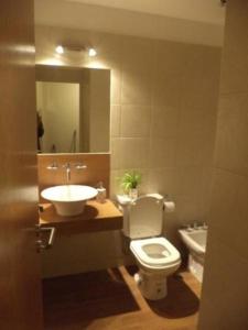 a bathroom with a toilet and a sink and a mirror at Bariloche Downtown 2 in San Carlos de Bariloche