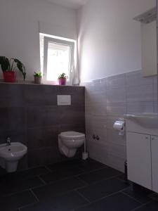 a bathroom with a toilet and a sink and a window at Seoski turizam Stari mlin na Korani room 2 in Karlovac