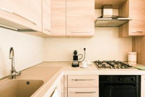 Kuchyň nebo kuchyňský kout v ubytování Bellavista Apartments