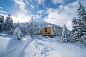 un bâtiment dans la neige avec des arbres enneigés dans l'établissement Berghotel Mettmen, à Schwanden