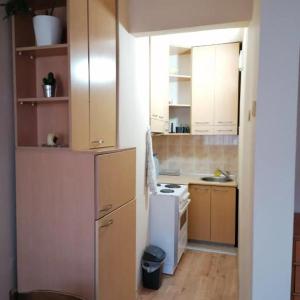 uma cozinha com um frigorífico e um fogão forno superior em Stan na dan em Pozarevac