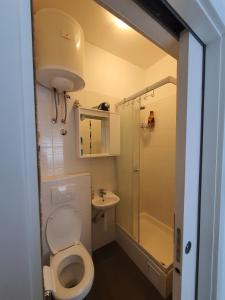 a small bathroom with a toilet and a shower at Apartment Martea in Split