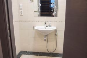 a bathroom with a sink and a mirror at FAMILY HOUSE MARUPE in Mārupe +12 photos