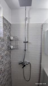 a shower with a hose in a bathroom at Cavnic Hills Apartments in Cavnic