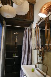 y baño con lavabo y ducha. en Surprenantes - Voyage en Ballon, en Nantes