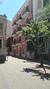 un árbol en medio de una calle con un edificio en Alla corte della suocera bilo en Bari