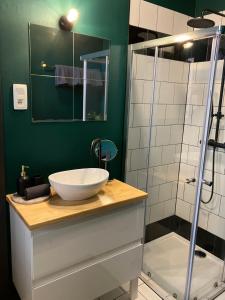 a bathroom with a sink and a shower at BnB Suikernest in Antwerp
