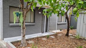 dom z dwoma drzewami przed nim w obiekcie Cosy room close to Melb Airport w Melbourne
