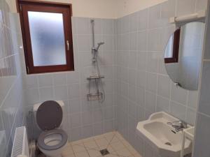 y baño con aseo, lavabo y espejo. en Appartement 1er etage proche des Termes en Bourbonne-les-Bains