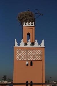 a clock tower with a nest on top of it at Araf House in Marrakesh