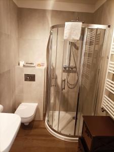 a bathroom with a shower and a toilet at HighStone Apartments Between Places in Szklarska Poręba