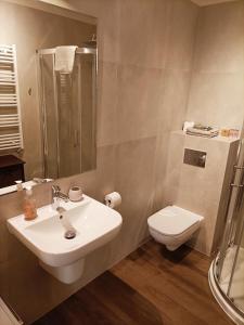 a bathroom with a sink and a toilet at HighStone Apartments Between Places in Szklarska Poręba