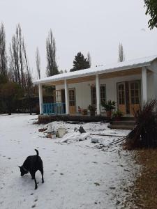 un gato negro caminando delante de una casa en Sol de Chacras en Luján de Cuyo