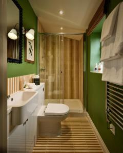 a green bathroom with a toilet and a sink at Townhouse Suites- Abbey Row in Malmesbury