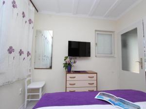 TV a/nebo společenská místnost v ubytování Apartments Frane