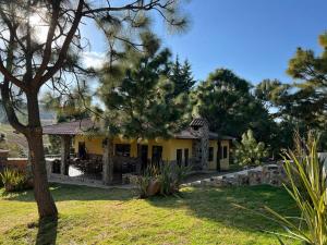 Κήπος έξω από το Cabaña No.8 Puerta del Bosque Mazamitla.