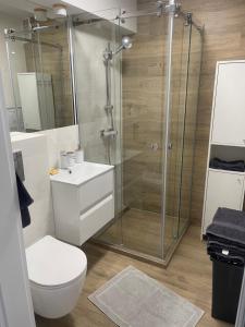 a bathroom with a shower and a toilet and a sink at MW3 Apartament in Rzeszów